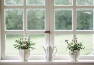 An image of a home window with white grid patterns that has two plants in the windowsill. 
